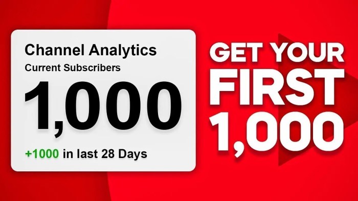 How to Get Your First 1,000 YouTube Subscribers in 3 Months