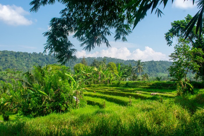 How to Travel the World on a Budget: 12 Money-Saving Tips