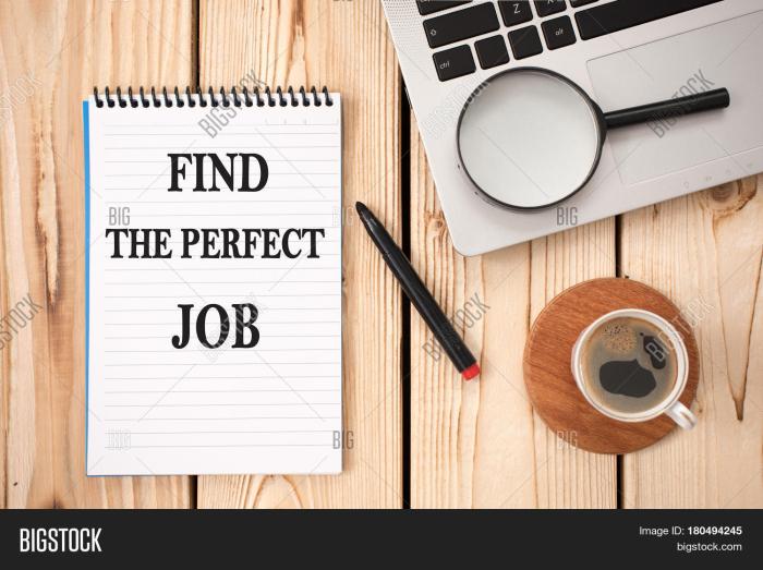 How to Find the Perfect Job in 3 Months