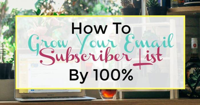 How to Grow Your Email List by 500 Subscribers in 30 Days