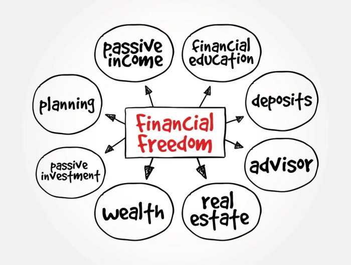 Freedom achieve financial money Freedom achieve financial money