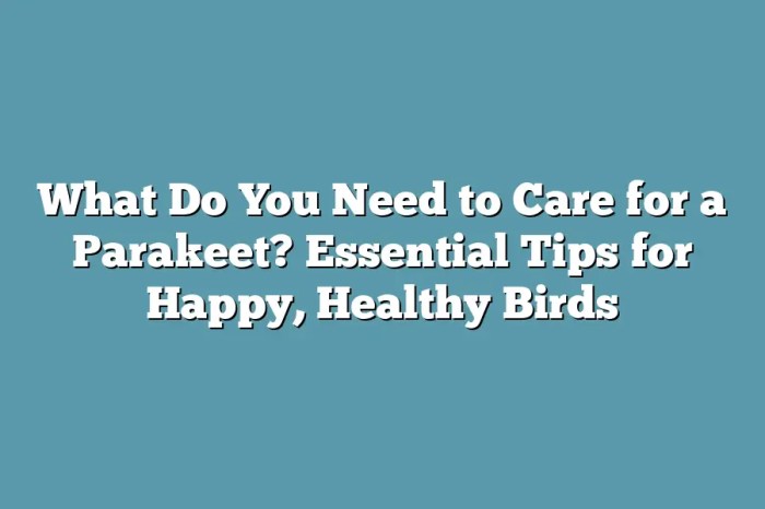 How to Care for a Bird: 8 Tips for a Happy and Healthy Bird