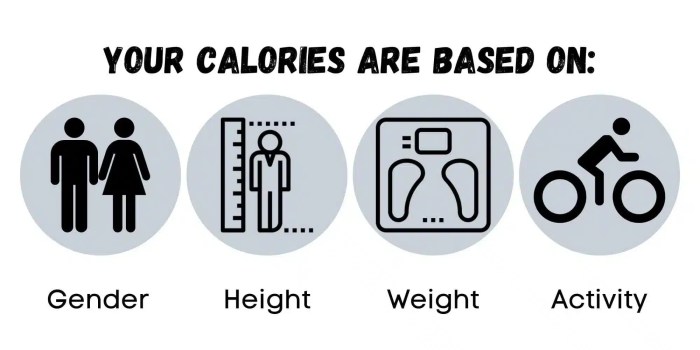 Diet pounds quick reduce losing meals