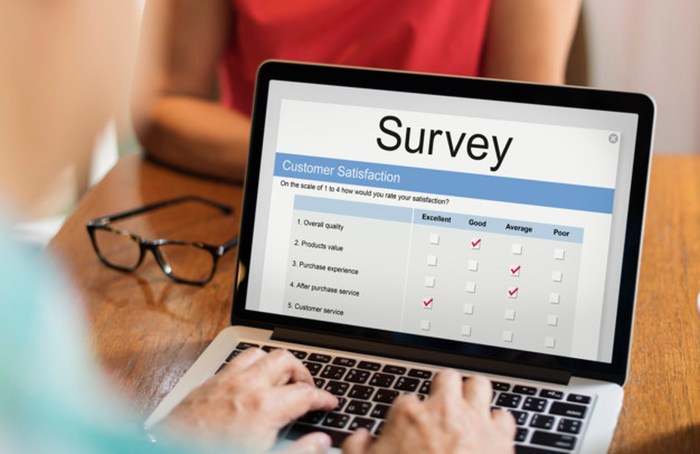 How to Make 0 a Week with Online Surveys