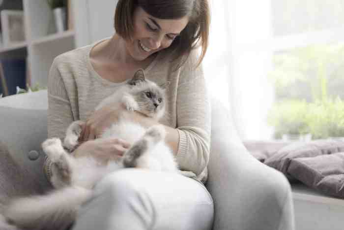 How to Care for a Cat: 8 Tips for Happy and Healthy Felines