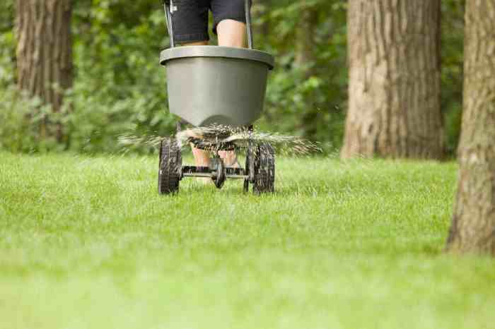 How to Fertilize Your Plants: 8 Tips for Choosing the Right Fertilizer