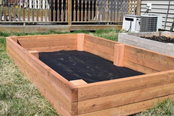 How to Build a Raised Garden Bed: 8 Steps to Creating a Productive Garden