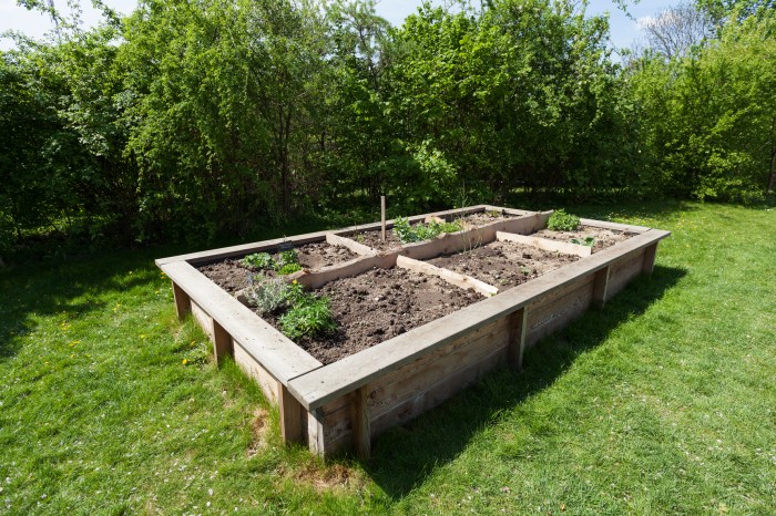 How to Build a Raised Garden Bed: 8 Steps to Creating a Productive Garden