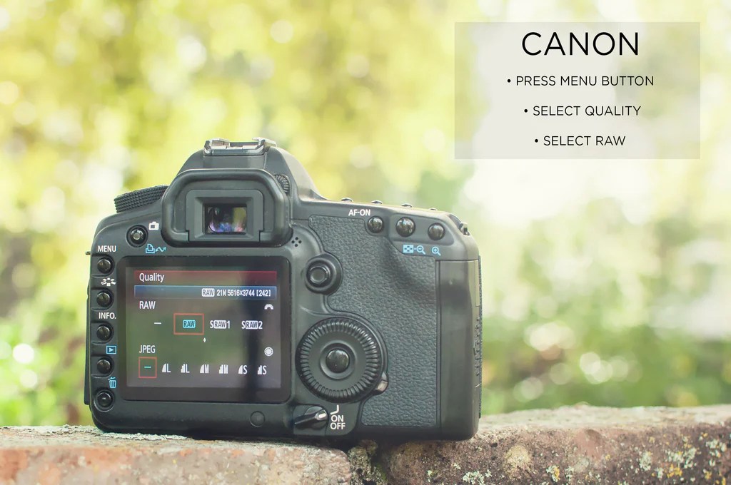 Editing captureone bengar techbriefly Editing captureone bengar techbriefly