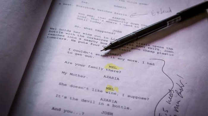 Screenplay harmon studiobinder screenwriting screenwriters example morty reminiscent filmmaking