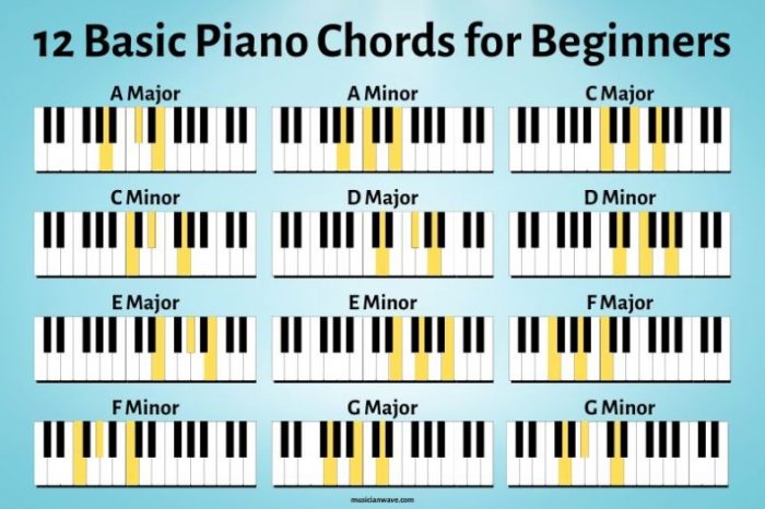 How to Play the Piano: 10 Beginner Piano Lessons