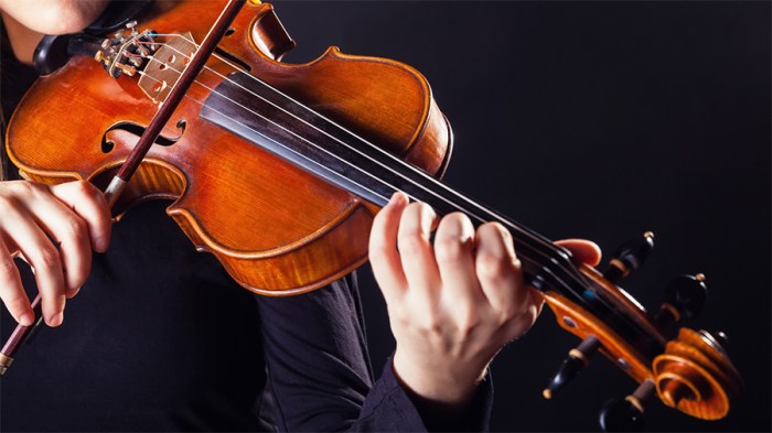 Violin adult lessons learning fun Violin adult lessons learning fun