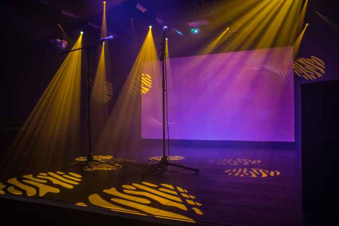 Presence bold stage create convincing comfortable confident speaking public Presence bold stage create convincing comfortable confident speaking public