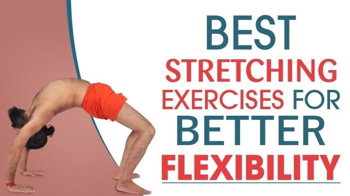 Stretching exercises flexibility increase Stretching exercises flexibility increase