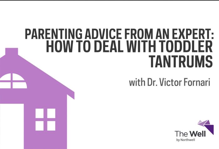 Tantrums meltdowns vs managing behavioural